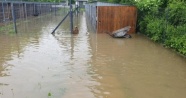 Polonya'da aşırı yağışlar nehirlerin taşmasına sebep oldu
