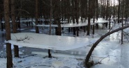 Polonya’da soğuktan donan göl havada asılı kaldı