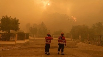 Portekiz'de 10 gündür süren orman yangınlarında 17 bin hektarlık alan yandı