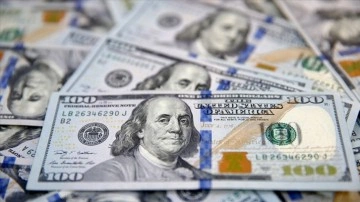 Raiffeisenbank, Rusya’dan dolar transferini sonlandıracak