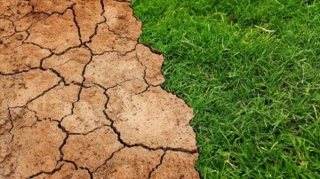 Rapor: Avrupa, hızla artan iklim risklerine hazırlıklı değil