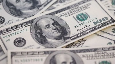 Reel efektif d&ouml;viz kuru endeksi şubatta 103,17 oldu