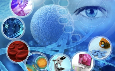 Rejenerasyon Protokol&uuml; &ndash; Re-&Ouml;rg&uuml; sistemi -&Ouml;z&rsquo;&uuml;n İfadesi yazdı-