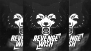 Revenge Wish eSpor 1 yılını tamamladı!