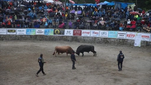 Rize'de "29. Çamlıhemşin Ayder Kültür, Sanat ve Doğa Festivali" sona erdi