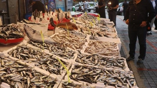 Rize'de balıkçı tezgahlarında bolluk yaşanıyor