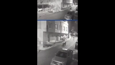 Rize'de bir kişinin anne ayı ve yavrularından ka&ccedil;ış anları g&uuml;venlik kamerasında