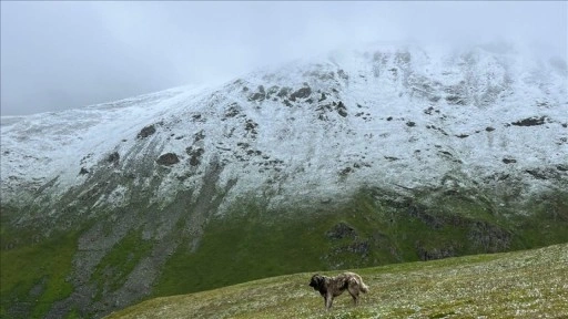 Rize ve Trabzon'un yüksek kesimleri temmuzda beyaza büründü