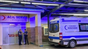 Rize'de sokak köpeklerinin saldırdığı 70 yaşındaki kadın yaralandı