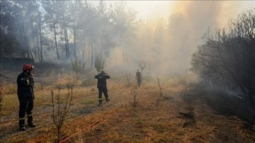 Rodos Adası'ndaki yangın devam ediyor