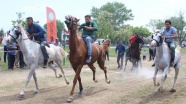Romanlar Kakava at yarışlarında hünerlerini sergiledi