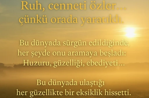Ruh cenneti özler -Barbaros Nasün yazdı-