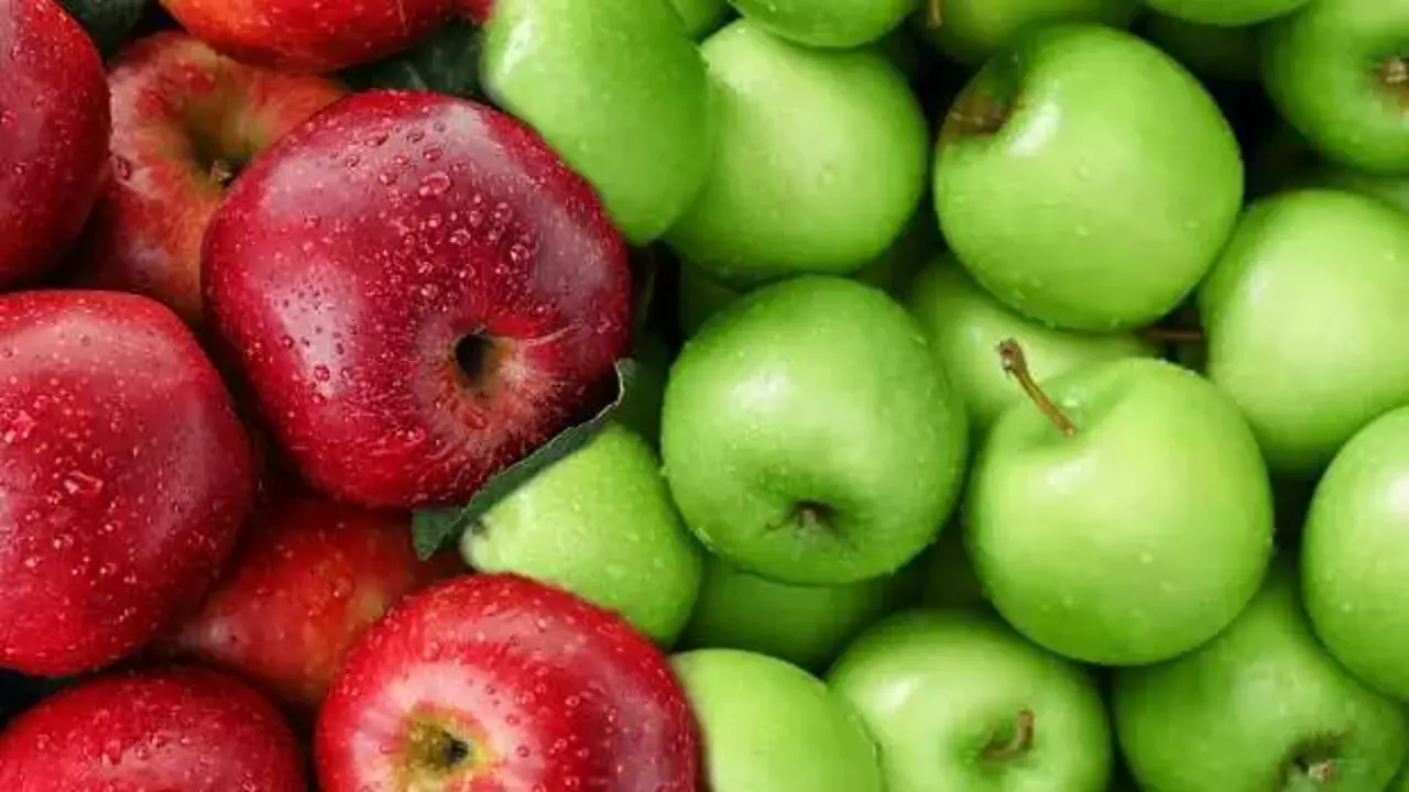 Rus dernek yetkilisi Leonov: Türkiye'den Rusya'ya elma tedarikini artıralım