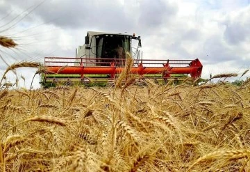 Rus uzman Belharoyev: Rusya'dan tahıl gitmezse Orta Doğu ve Afrika’da kıtlık olacak