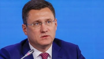 Rusya Başbakanı Novak: Putin ve Erdoğan Rusya ile Türkiye arasındaki ödeme sorunlarını görüştü