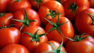 Rusya'dan domates açıklaması
