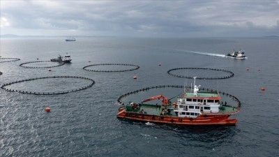 Rusya, Ermenistan'dan balık &uuml;r&uuml;nleri sertifikasyonunu durdurmasını istedi