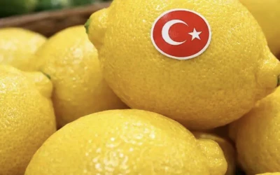 Rusya, Şubat ayında T&uuml;rkiye&rsquo;den limon ithalatını iki katın &uuml;zerine &ccedil;ıkardı