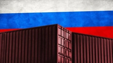 Rusya'da ihracat ve ithalatın bu yıl düşmesi bekleniyor