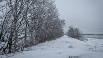Rusya’da mahsulleri etkileyen donlar nedeniyle acil durum ilan edilmesi planlanıyor