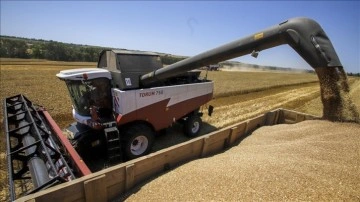 Rusya’nın Afrika’daki bazı ülkelere bedelsiz tahıl sevkiyatı başladı