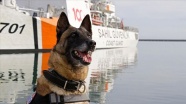 Sahil Güvenlik Komutanlığının Karadeniz'deki hassas burnu: 'Bone'