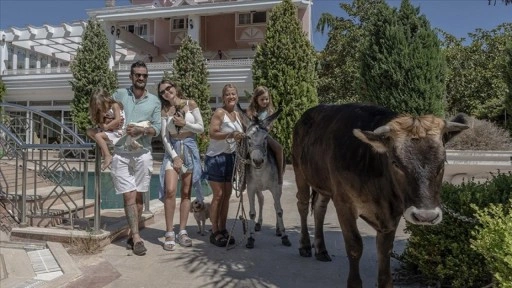 Sahiplendikleri farklı türdeki hayvanlara evlerini yuva yaptılar