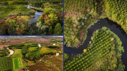 Sakarya'da Acarlar Longozu ve Büyük Melen havzası sonbaharın tonlarıyla renklendi