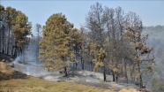 Sakarya'daki orman yangını kontrol alına alındı