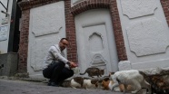 Salgın günlerinde yiyecek bulamayan kedi ve martılara mahalle imamı sahip çıktı
