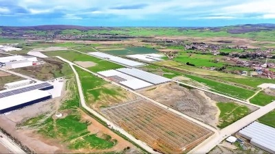 Samsun Bafra Sera Organize Tarım B&ouml;lgesi'nden ekonomiye yıllık 1,5 milyar lira katkı