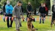 Samsun'da 'Uluslararası Köpek Irkları Yarışması' yapıldı