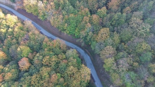 Samsun'da Yunt Dağı güz sarısına boyandı