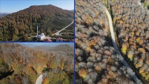 Samsun'daki Nebiyan Dağı sonbahar renklerine büründü