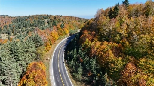 Samsun'un Alaçam ilçesinde Kızlan Yaylası sonbahar renklerine büründü
