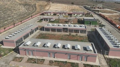 Şanlıurfa'da 27 bin 960 sahipsiz hayvan toplandı