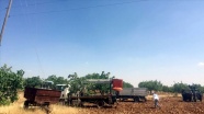 Şanlıurfa'da kaçak mobil trafo ele geçirildi