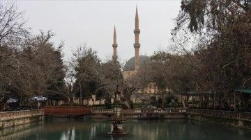 Şanlıurfa'da depremde hasar gören 54 cami yeniden ibadete açıldı