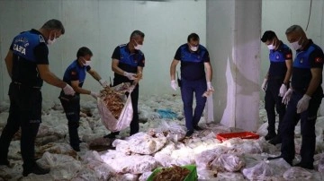 Şanlıurfa'da etiketsiz 10 ton tavuk ele geçirildi