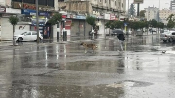 Şanlıurfa'da sağanak sebebiyle eğitime ara verildi