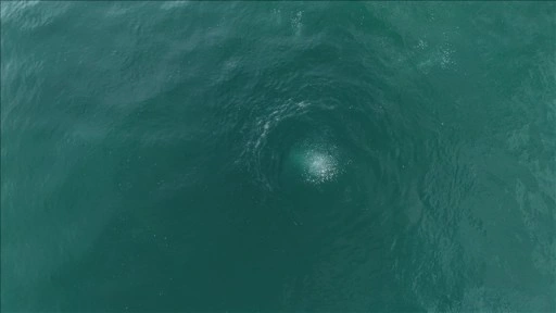 Sapanca Gölü'nde oluşan kabarcıklar su altından ve havadan görüntülendi