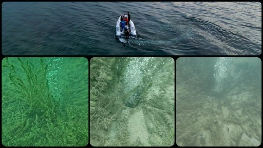 Sapanca Gölü'nde oluşan kabarcıkların su kalitesine zarar vermediği belirlendi