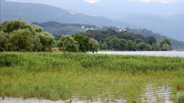 Sapanca Gölü'nde su seviyesi maksimuma yaklaştı