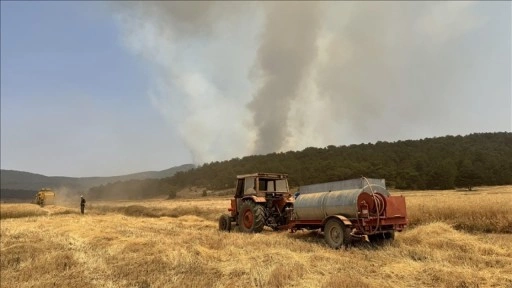 Sarıcaova köylüleri, tarladaki ürünlerinin hasadını imece usulü yapıyor