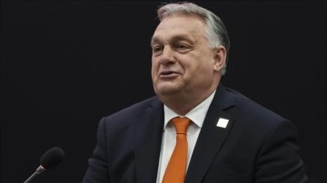 'Sayın Erdoğan Macaristan'da özellikle sevilen, imajı yüksek olan bir lider'