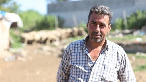 Şehir hayatından köyüne döndü, devlet desteğiyle sürü sahibi oldu