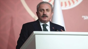Şentop, HDP'li Paylan'ın sözde "Ermeni soykırımı" teklifini iade etti