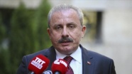 Şentop'tan HDP'li milletvekiline kınama
