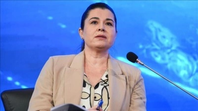 SHURA: Elektrikte konumsal fiyatlandırma enerji d&ouml;n&uuml;ş&uuml;m&uuml;n&uuml; destekleyebilir