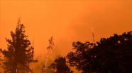 Sibirya&#039;daki orman yangınlarının dumanı ilk kez Kuzey Kutbu&#039;na kadar ulaştı